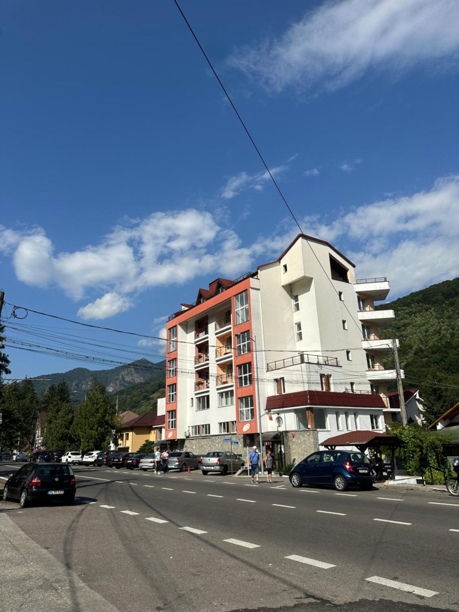 Отель Vila Trandafirul Si Liliacul Качулата Экстерьер фото