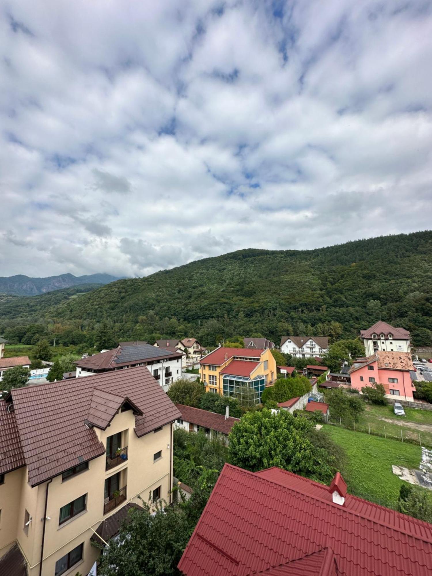 Отель Vila Trandafirul Si Liliacul Качулата Экстерьер фото